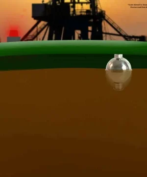 Stainless Steel Vertical Float Switch Illustration