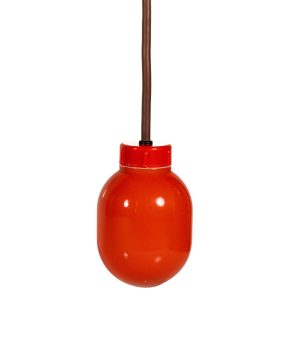 Alternative view of Dual Point Cable Suspended Float Switch