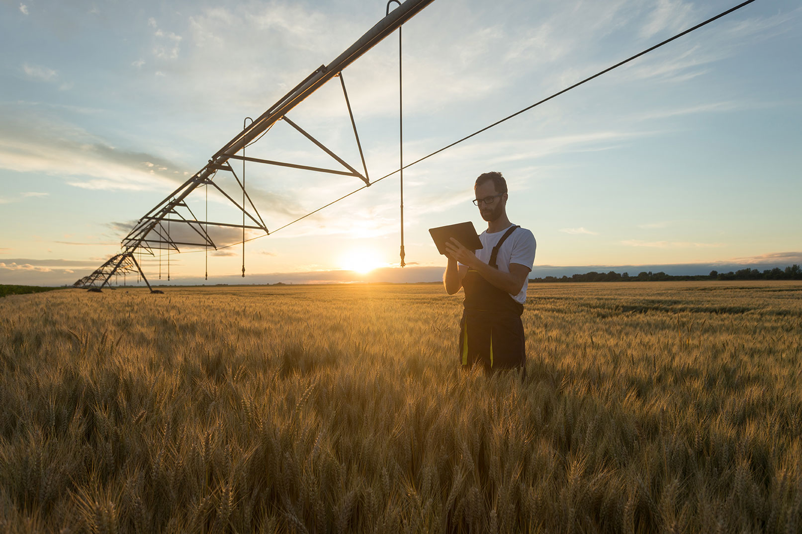 Farmer and Irrigation